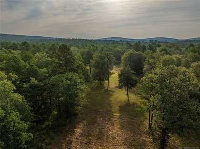 Jackfork Ranch: A Hidden Gem for Visionary Development Located - photo 16