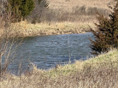 137.4 Acres of rolling native/mix pasture located just South of - photo 16