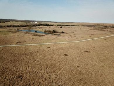 137.4 Acres of rolling native/mix pasture located just South of - photo 17