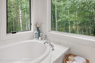 This is a true legacy property in Aspen checking all of the - photo 18