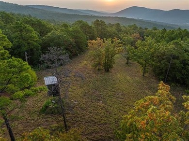 Jackfork Ranch: A Hidden Gem for Visionary Development Located - photo 18