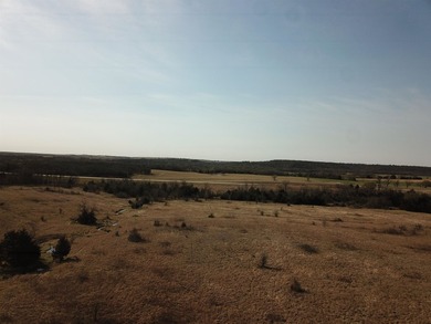 137.4 Acres of rolling native/mix pasture located just South of - photo 20