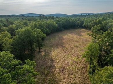 Jackfork Ranch: A Hidden Gem for Visionary Development Located - photo 21