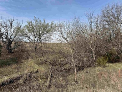 137.4 Acres of rolling native/mix pasture located just South of - photo 21
