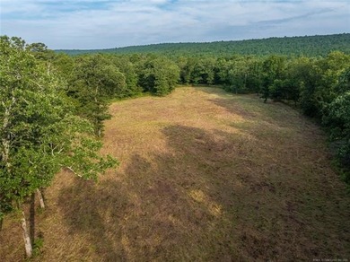 Jackfork Ranch: A Hidden Gem for Visionary Development Located - photo 22