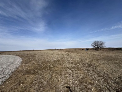 137.4 Acres of rolling native/mix pasture located just South of - photo 23