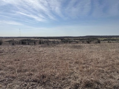 137.4 Acres of rolling native/mix pasture located just South of - photo 24