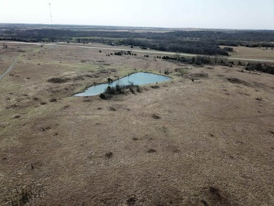 137.4 Acres of rolling native/mix pasture located just South of - photo 25