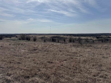 137.4 Acres of rolling native/mix pasture located just South of - photo 27
