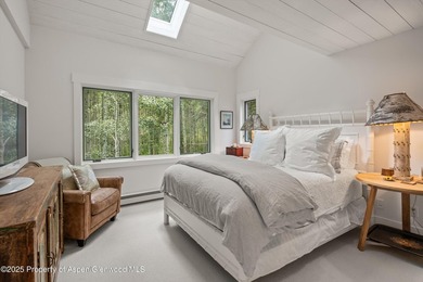 This is a true legacy property in Aspen checking all of the - photo 29