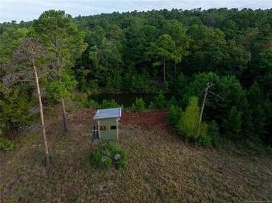 Jackfork Ranch: A Hidden Gem for Visionary Development Located - photo 29