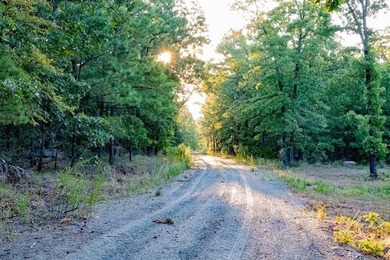 Jackfork Ranch: A Hidden Gem for Visionary Development Located - photo 30