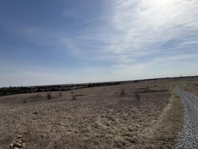 137.4 Acres of rolling native/mix pasture located just South of - photo 30