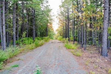 Jackfork Ranch: A Hidden Gem for Visionary Development Located - photo 31
