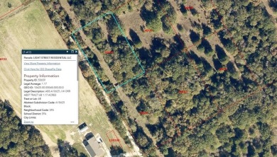 Lake Lot For Sale in Streetman, Texas