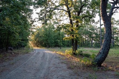 Jackfork Ranch: A Hidden Gem for Visionary Development Located - photo 32