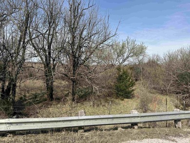 137.4 Acres of rolling native/mix pasture located just South of - photo 33