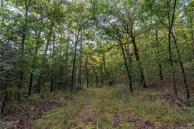Jackfork Ranch: A Hidden Gem for Visionary Development Located - photo 34