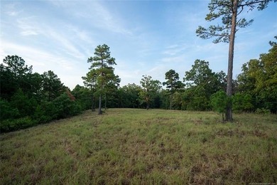 Jackfork Ranch: A Hidden Gem for Visionary Development Located - photo 38