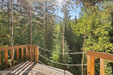 This is a true legacy property in Aspen checking all of the - photo 39