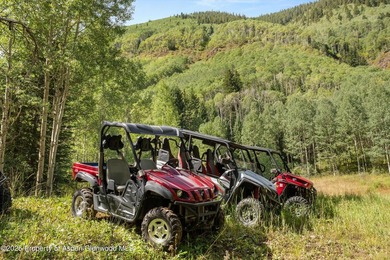 This is a true legacy property in Aspen checking all of the - photo 41