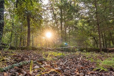 Jackfork Ranch: A Hidden Gem for Visionary Development Located - photo 42