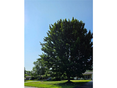 Welcome to 49 Pine Valley Drive! This move-in-ready 3-bedroom - photo 4