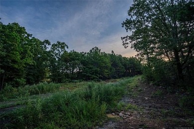 Jackfork Ranch: A Hidden Gem for Visionary Development Located - photo 45