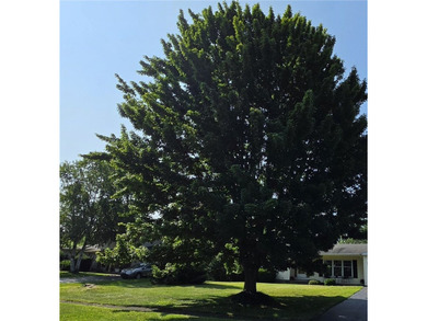 Welcome to 49 Pine Valley Drive! This move-in-ready 3-bedroom - photo 6