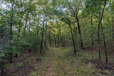 Jackfork Ranch: A Hidden Gem for Visionary Development Located - photo 47