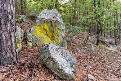 Jackfork Ranch: A Hidden Gem for Visionary Development Located - photo 48