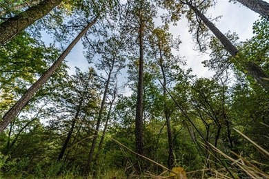 Jackfork Ranch: A Hidden Gem for Visionary Development Located - photo 50