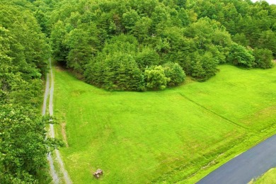 (private lake, pond, creek) Acreage For Sale in Saltville Virginia
