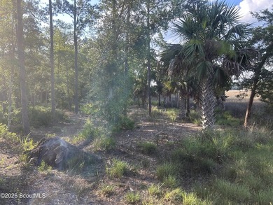 This is legacy property - photo 9