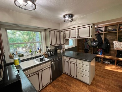 This spacious 5-bed, 3-bath walk-out home on Rainy River offers - photo 11