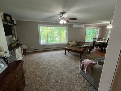 This spacious 5-bed, 3-bath walk-out home on Rainy River offers - photo 14
