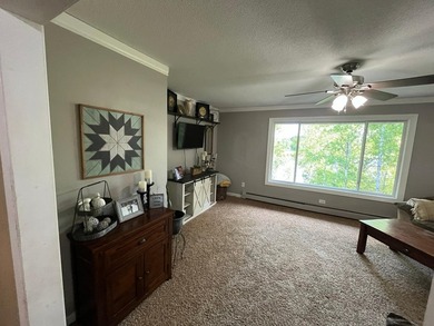 This spacious 5-bed, 3-bath walk-out home on Rainy River offers - photo 15