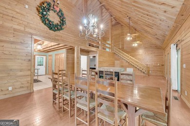 Very cute and cozy Cabin across the street from Lake Hartwell - photo 21