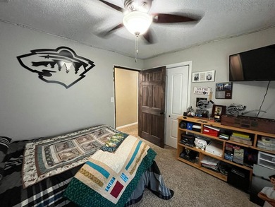 This spacious 5-bed, 3-bath walk-out home on Rainy River offers - photo 21