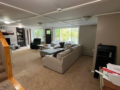 This spacious 5-bed, 3-bath walk-out home on Rainy River offers - photo 24