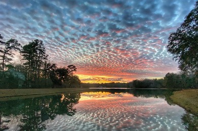 (private lake, pond, coastal) Lot For Sale in Seabrook South Carolina