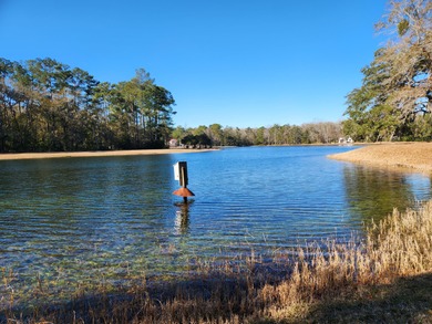 Fabulous Lake Views from this 1.46 acre homesite with 251' ft of - photo 8