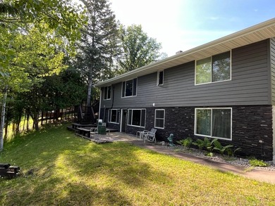 This spacious 5-bed, 3-bath walk-out home on Rainy River offers - photo 41