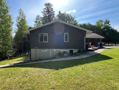 This spacious 5-bed, 3-bath walk-out home on Rainy River offers - photo 42