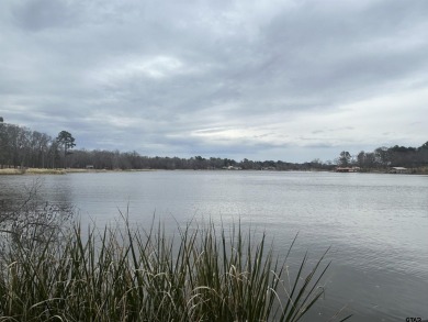 Lake Lot For Sale in Frankston, Texas