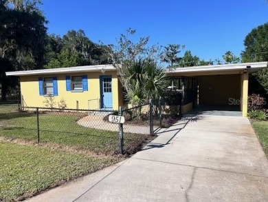 Lake Home For Sale in Lake Panasoffkee, Florida