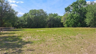 Smith Lake Acreage For Sale in Belleview Florida