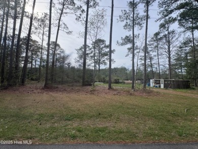 (private lake, pond, creek) Lot For Sale in Mesic North Carolina