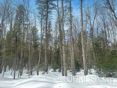 Build your Northwoods getaway just across the way from beautiful - photo 2