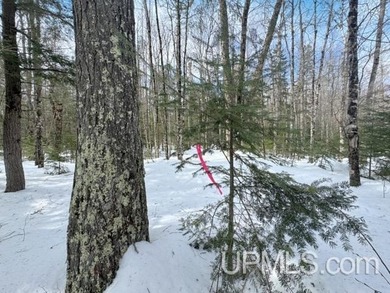 Build your Northwoods getaway just across the way from beautiful - photo 3
